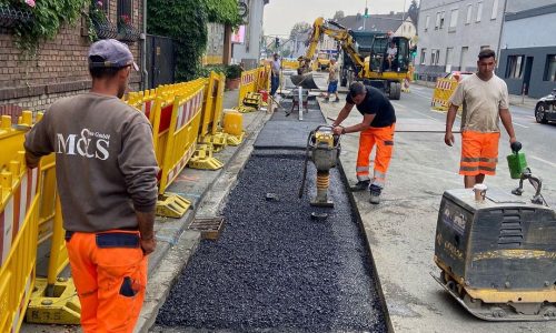 299899286_1734816426895925_2713590166750550845_n