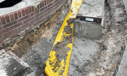 WhatsApp Image 2023-03-16 at 10.49.27